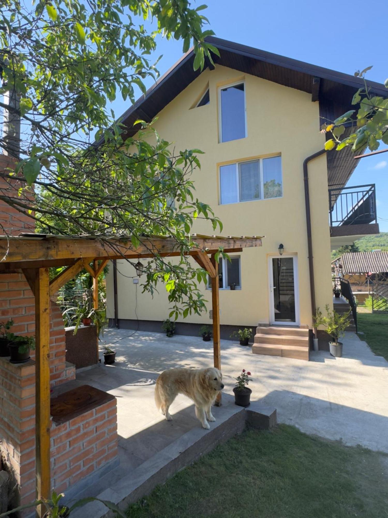 Casa Lucia Hotel Ocnele Mari Buitenkant foto